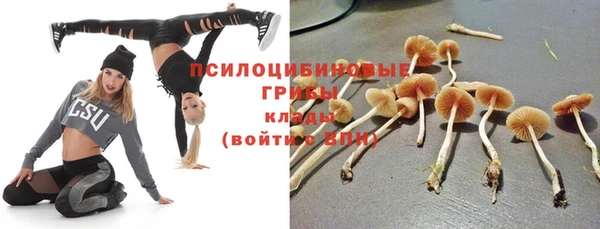 тгк Абинск