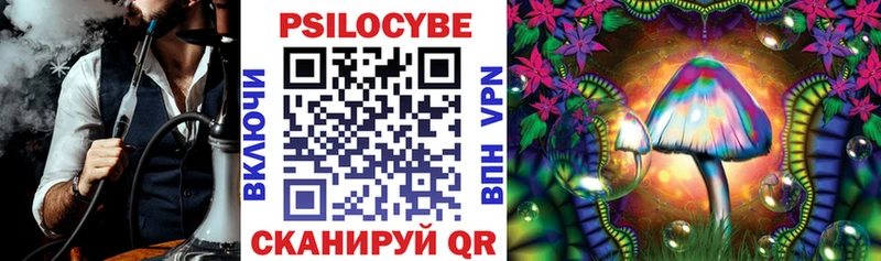 Псилоцибиновые грибы MAGIC MUSHROOMS  где можно купить   Курчатов 