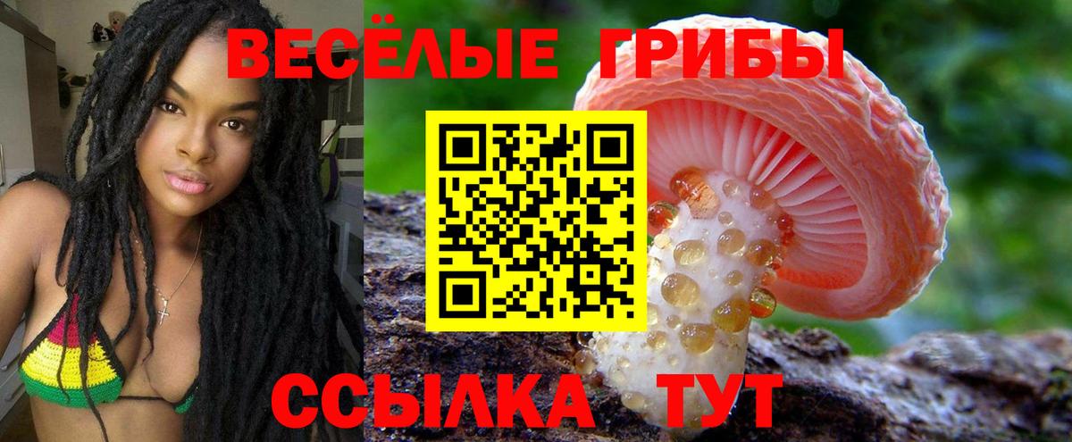 Псилоцибиновые грибы Psilocybine cubensis  Псилоцибиновые грибы прущие грибы  Вход с VPN  Курчатов 